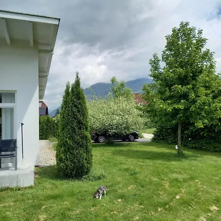 Grünes Flores: Oasis With Zero Emissions Holiday home *