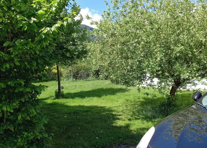 Grünes Flores: Oasis With Zero Emissions